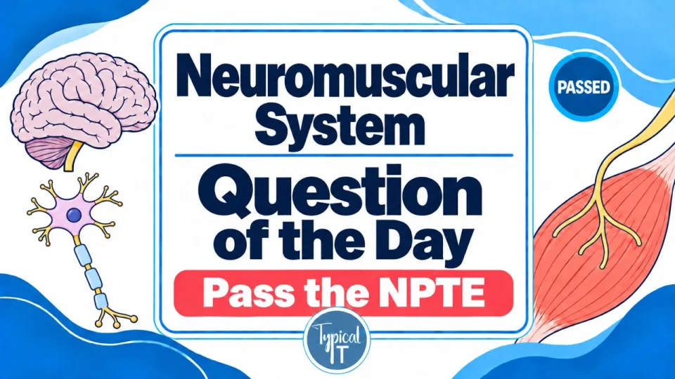 What Are the Best NPTE Neuro Practice Questions to Prepare for the Exam